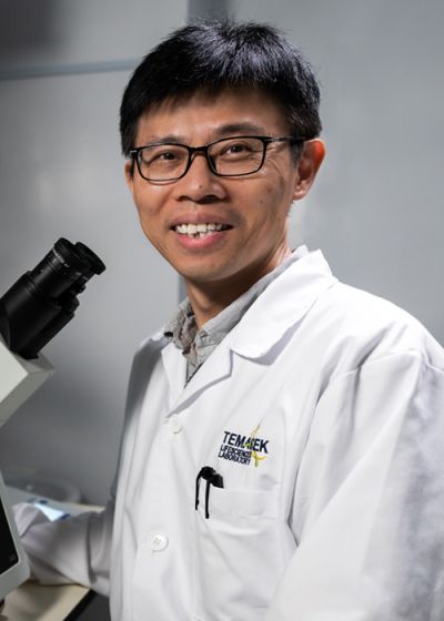 Cai Yu