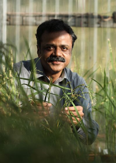 Naweed Naqvi