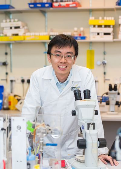 Pek Jun Wei