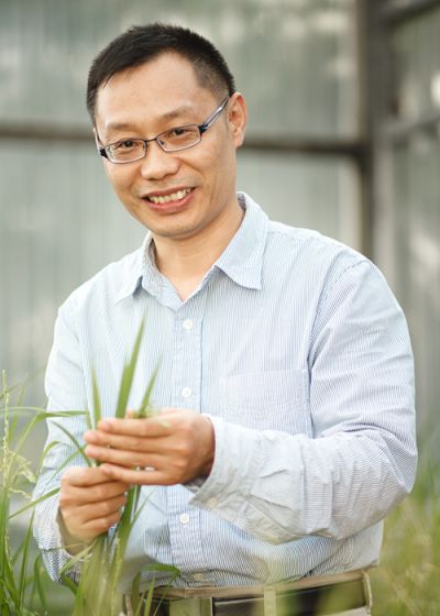 Yin Zhong Chao