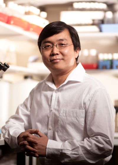 Yu Fengwei