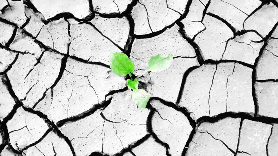 sustainability