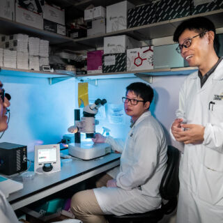 phd junior research