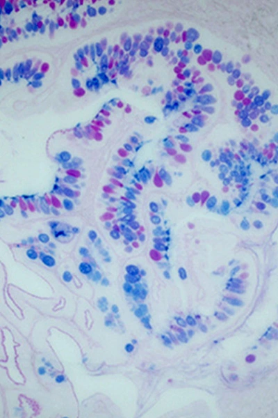 Genome Ecological Biology 1