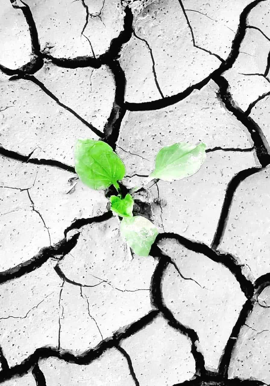 sustainability